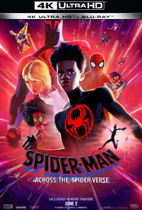 Imagem Filme Homem-Aranha - Através do Aranhaverso - 4K Torrent