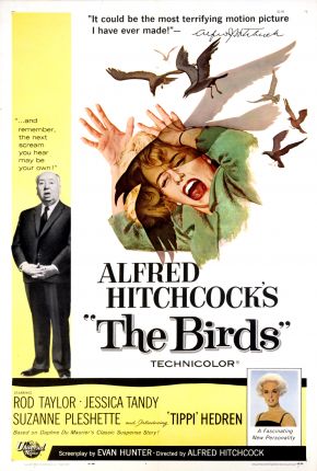 Imagem Filme Os Pássaros / The Birds Google Drive