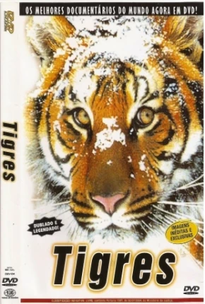 Imagem Filme Tigres / Na Sombra do Tigre Google Drive