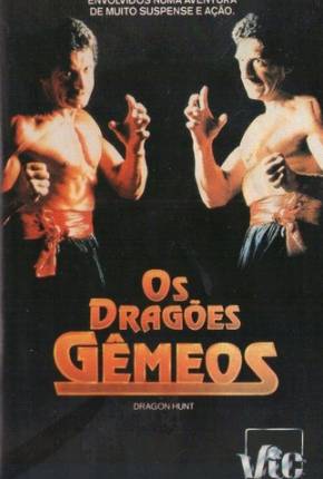 Imagem Filme Os Dragões Gêmeos / Dragon Hunt Google Drive