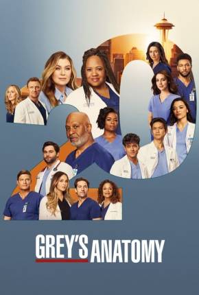 Imagem Série Anatomia de Grey - 20ª Temporada Legendada Torrent