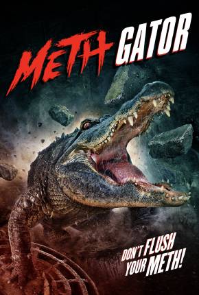 Imagem Filme Attack of the Meth Gator - Legendado Torrent