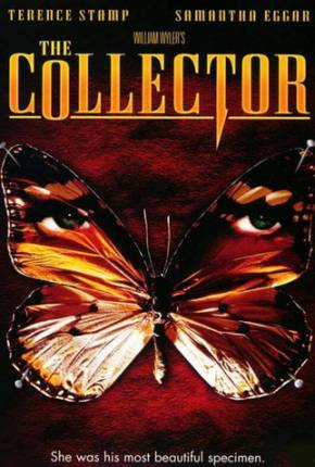 Imagem Filme O Colecionador / The Collector Terabox / PixelDrain / DesiUpload / EDISK