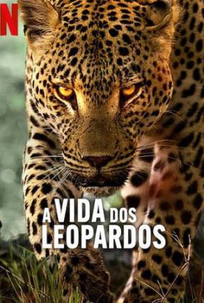 Imagem Filme A Vida dos Leopardos Torrent