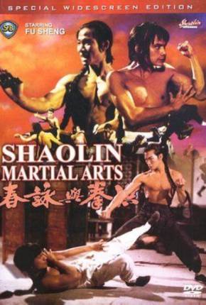 Imagem Filme As Artes Marciais de Shaolin / Hong quan yu yong chun Mega