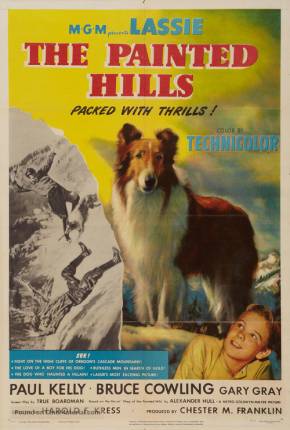 Imagem Filme Lassie - Heróis da Montanha Torrent