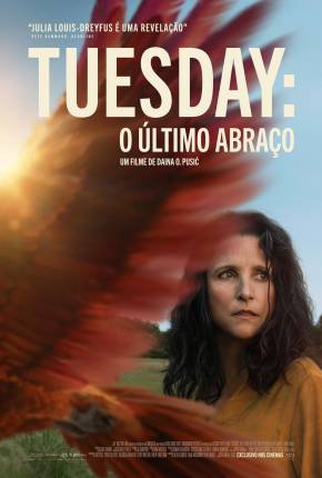 Imagem Filme Tuesday - O Último Abraço - CAM - Legendado e Dublado Não Oficial Torrent