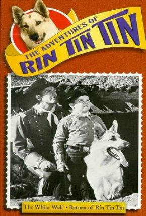 Imagem Série As Aventuras de Rin Tin Tin - 1ª Temporada Send