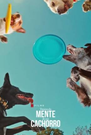 Imagem Filme Dentro da Mente de um Cachorro Torrent