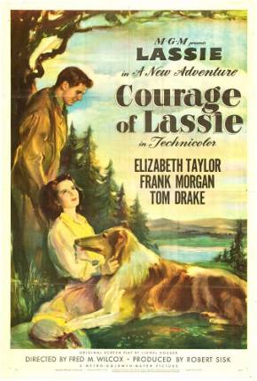 Imagem Filme A Coragem de Lassie / Courage of Lassie Google Drive / 4Shared