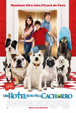 Imagem Filme Um Hotel Bom Pra Cachorro (1080P) 1Fichier / PixelDrain